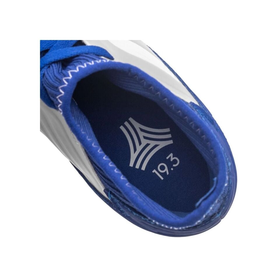 Adidas Predator Tango 19.3 Çocuk Futsal Ayakkabısı Cm8545 Mavi 35.5