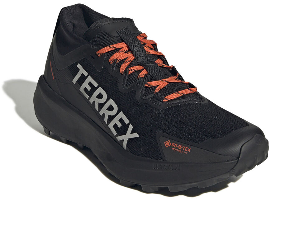 Adidas Koşu Ayakkabı Terrex Agravıc Gtx Siyah 42
